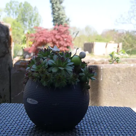 Appartement Petite Vallee