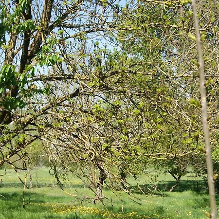 아파트 Petite Vallee Berling